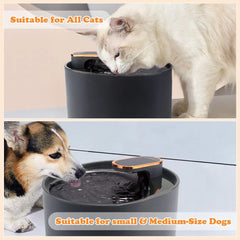 3L Motion Sensor Pet Water Fountain – Silent & Smart