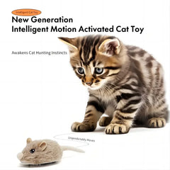 Interactive Rechargeable Motion Cat Mouse Toy