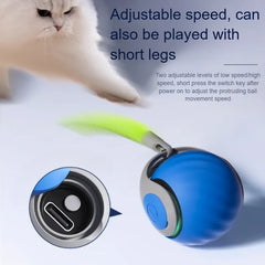 Smart Cat Ball with Faux Tail