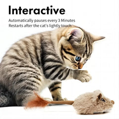 Interactive Rechargeable Motion Cat Mouse Toy